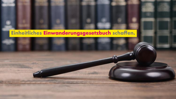 Einwanderung gestalten